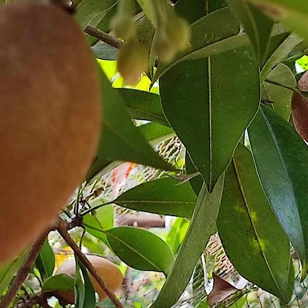 Vivaresidence Homestay Alappuzha Kültér fotó